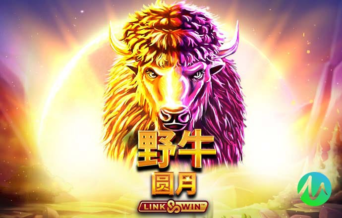 bob综合下载app
